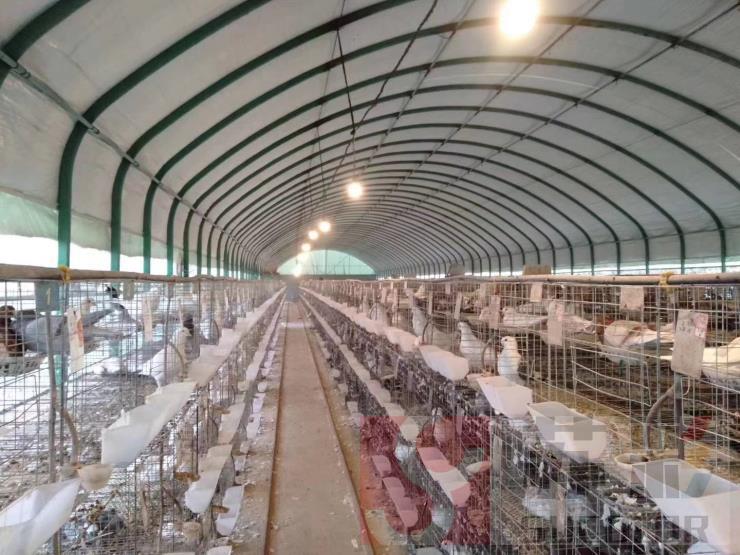 苏彩防腐钢塑瓦在畜牧养殖场中的应用